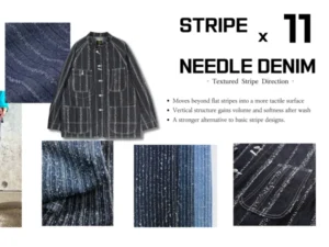 A Three-Dimensional Evolution of Stripe Denim